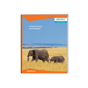 King Size -  Maths Ruled