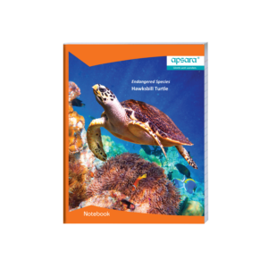 King Size - Red & Blue with Gap